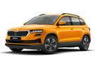 Коврики на Skoda Karoq 2017 - 2025 в Химках