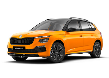 Ворсовые коврики на Skoda Kamiq (Европа) 2019&nbsp;-&nbsp;2026 в Химках