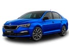 Коврики на Skoda Rapid II 2019 - 2025 в Химках