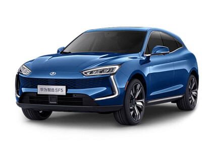 EVA коврики на Seres SF5 2019&nbsp;-&nbsp;2022 в Химках