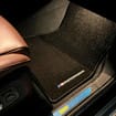 Коврики на BMW X5 (G05/G18) 2018 - 2025 в Химках