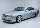 EVA коврики на Mercedes CL (C215) 1998 - 2006 в Химках