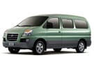 Коврики на Hyundai Starex 1996 - 2007 в Химках