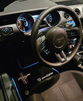 Ворсовые коврики на Ford Mustang VI 2013 - 2023 в Химках Ворсовые коврики на Ford Mustang VI 2013 - 2023 в Химках