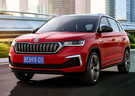 Ворсовые коврики на Skoda Kamiq 2018 - 2025 в Химках