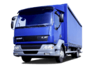 Коврики на DAF LF 2001 - 2025 в Химках