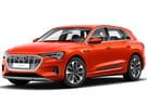 Коврики на Audi e-tron 2018 - 2025 в Химках