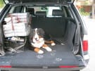 Ворсовые коврики на BMW X5 (E53) 1999 - 2006 в Химках